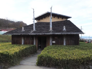 Thumbnail of post image 123