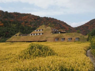 Thumbnail of post image 046