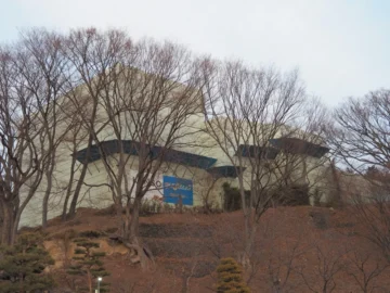 Thumbnail of post image 190